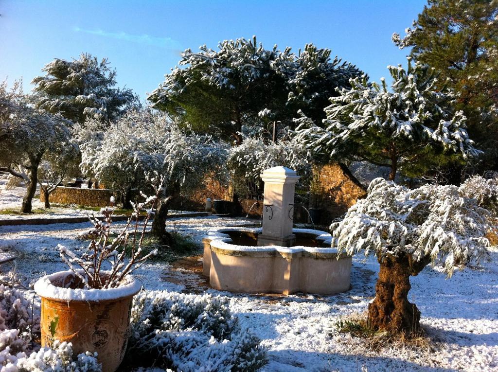 Ferienwohnung Le Mas Du Centaure Puget-sur Argens Exterior foto